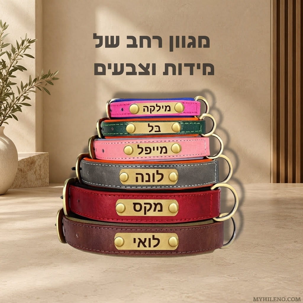 קולר עור איכותי בעיצוב אישי